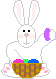 I'm a little bunny
